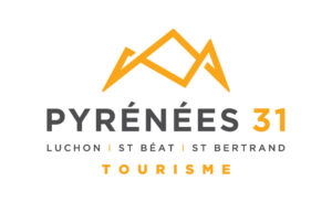 logo Pyrenees31