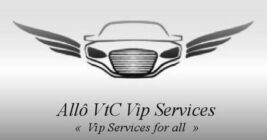 Logo VTC Vip Services